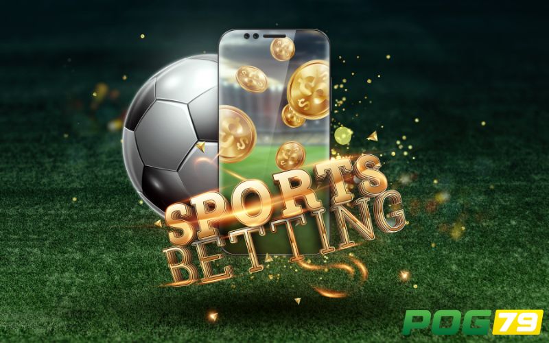 Đại lý POG79 thành công với thu nhập cao