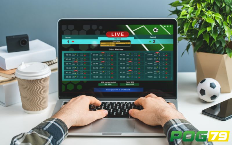 Dashboard theo dõi thu nhập đại lý POG79
