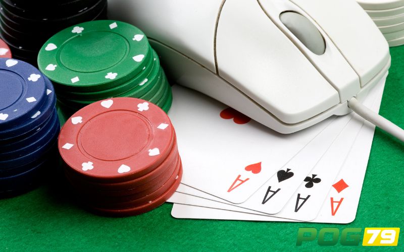 Điều khoản sử dụng POG79 minh bạch và công bằng