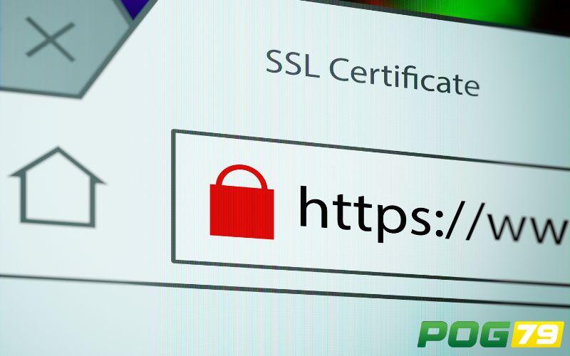 Mã hóa dữ liệu SSL 256-bit bảo mật